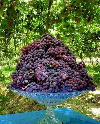 Supermarket «Extra Supermarket», reviews and photos, 12890 SW 8th St, Miami, FL 33184, USA