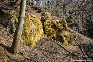 Polushkinskie quarry image