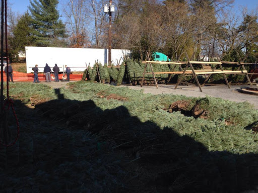 SOLD OUT- Berwyn Heights VFD Christmas Tree Sales