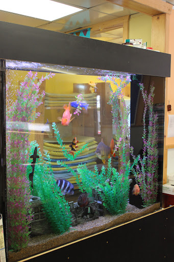 Preschool «Leap & Bound Academy Preschool - Torrance», reviews and photos, 22410 Palos Verdes Blvd, Torrance, CA 90505, USA