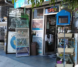 ACUARIO GUADALAJARA photo