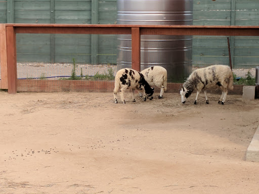 Zoo «Red River Zoo», reviews and photos, 4255 23rd Ave S, Fargo, ND 58104, USA