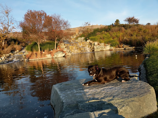 Public Golf Course «Dublin Ranch Golf Course», reviews and photos, 5900 Signal Hill Dr, Dublin, CA 94568, USA