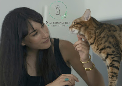 Jade Burgunder Naturopathie & Kinésiologie Animalière à Toulouse
