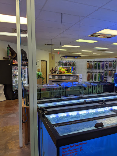 Fish Store «Aquatek Tropical Fish», reviews and photos, 8023 Burnet Rd # 1, Austin, TX 78757, USA