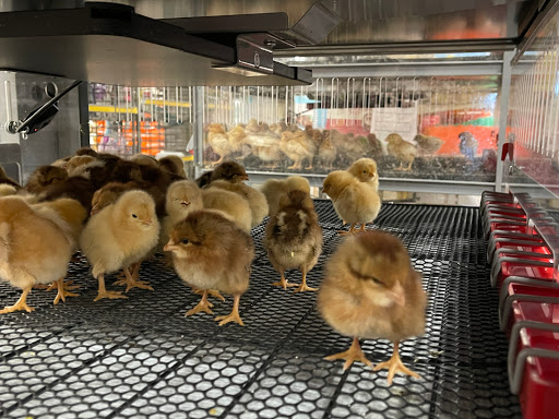 Home Improvement Store «Tractor Supply Co.», reviews and photos, 454 Hamlin Hwy #100a, Lake Ariel, PA 18436, USA