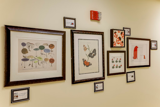 Preschool «Bright Horizons at North Kennicott», reviews and photos, 3523 N Kennicott Ave, Arlington Heights, IL 60004, USA