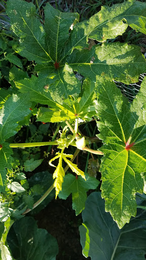 Auditorium «Bedford Heights Community Center», reviews and photos, 5615 Perkins Rd, Bedford Heights, OH 44146, USA