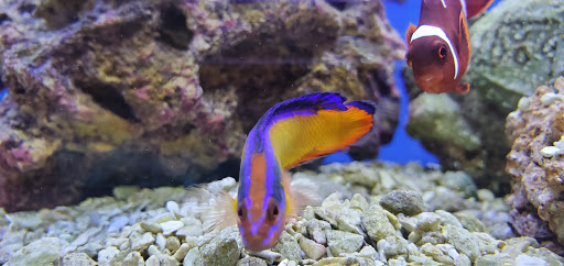 Pet Supply Store «Petco Animal Supplies», reviews and photos, 4491 Kirkwood Hwy, Wilmington, DE 19808, USA