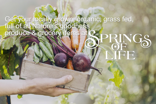 Health Food Store «Springs of Life Cafe and Store», reviews and photos, 1141 N Lee Rd, Covington, LA 70433, USA