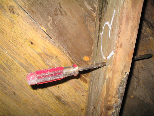 Pest Control Service «Universal Pest & Termite», reviews and photos