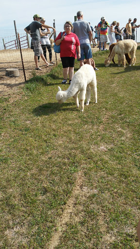 Boutique «Alpacas of the Heartland LLC», reviews and photos, 7016 County Rd 39, Fort Calhoun, NE 68023, USA