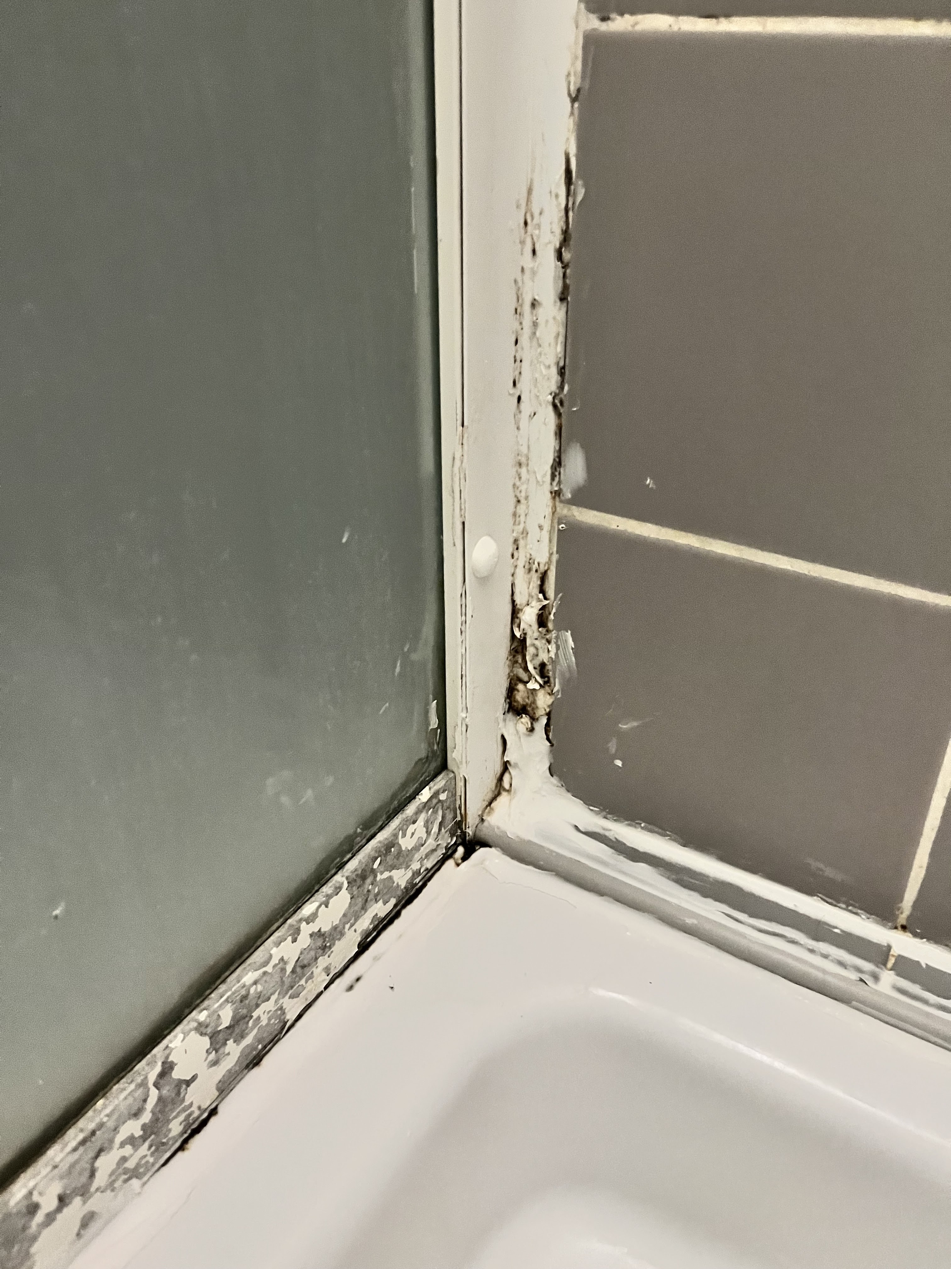 Photo n° 2 de l'avis de Be.a fait le 28/09/2023 à 17:08
