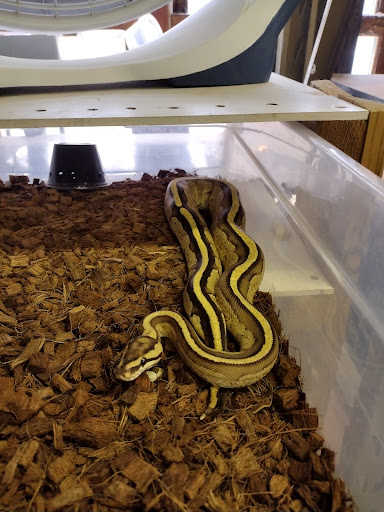 Pet Store «Gills And Thrills Pet Shop», reviews and photos, 204 E 8th St, Lockport, IL 60441, USA