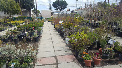 Gift Shop «Blue Hills Nursery & Gift Shop», reviews and photos, 16440 Whittier Blvd, Whittier, CA 90603, USA