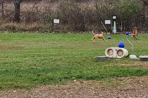 Dog Park at Arise Church image