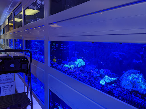 Tropical Fish Store «Barrier Reef Aquariums», reviews and photos, 1717 NE 44th St # A, Renton, WA 98056, USA