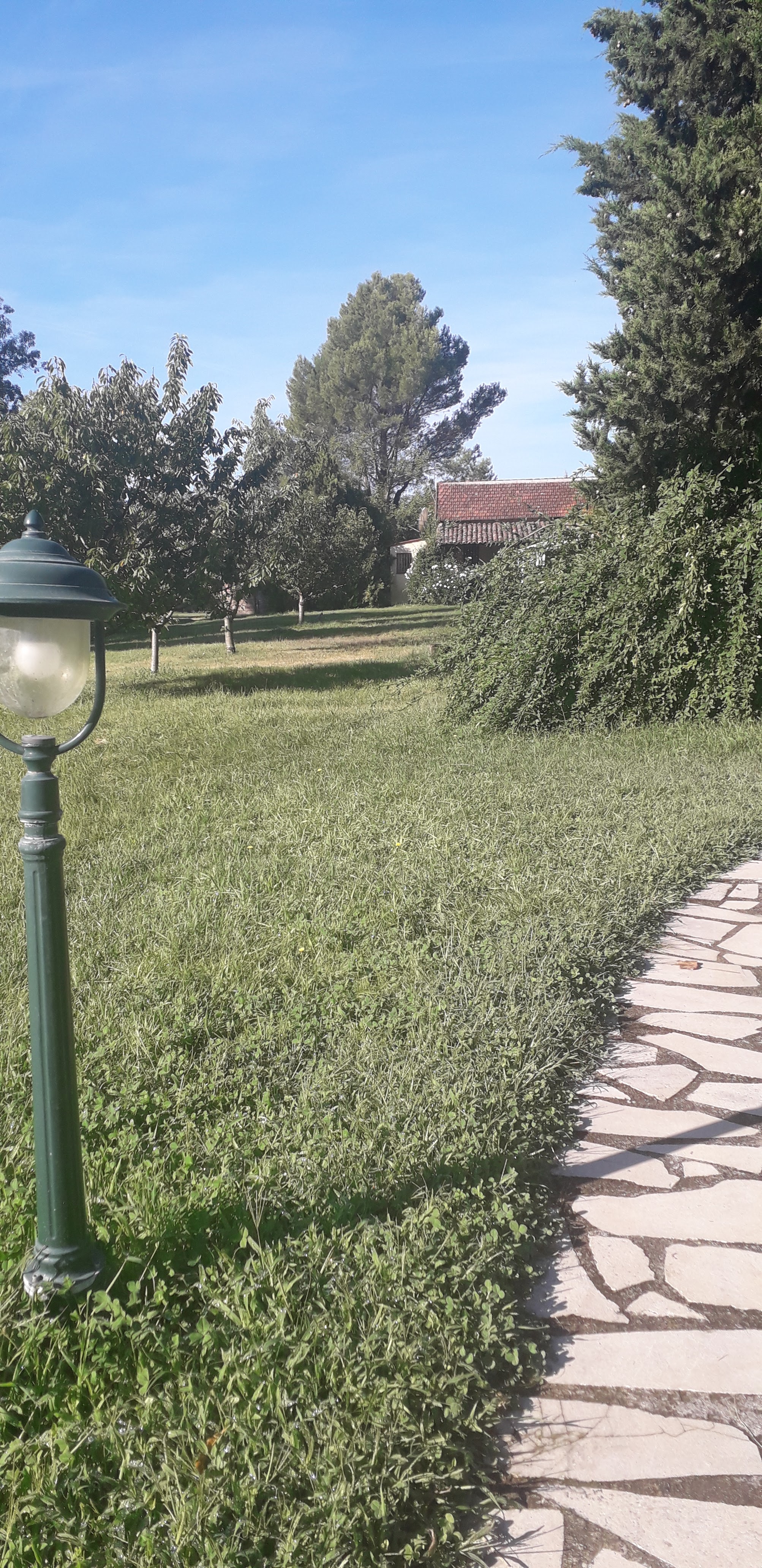 Photo n° 1 de l'avis de Nisajo.o fait le 19/08/2020 à 20:41