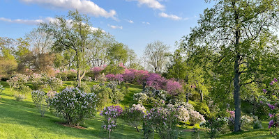 Royal Botanical Gardens - Arboretum