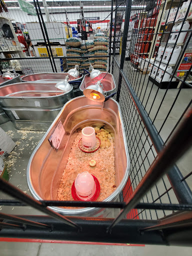 Home Improvement Store «Tractor Supply Co.», reviews and photos, 8135 Brookville Rd, Indianapolis, IN 46239, USA