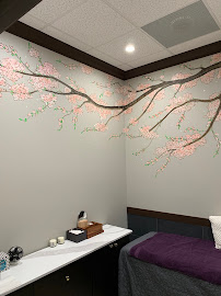 Paradise Nails Spa 2 (Next to Publix) - Photo 8 - Car repair in Pembroke Pines, FL, Pembroke Pines