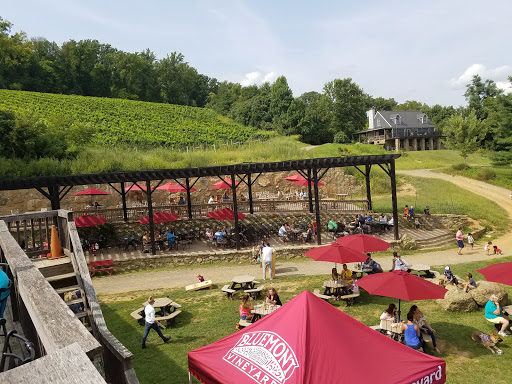 Winery «Bluemont Vineyard», reviews and photos, 18755 Foggy Bottom Rd, Bluemont, VA 20135, USA