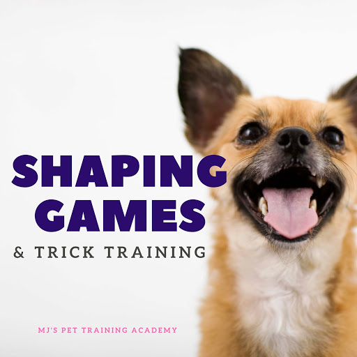 MJ's Pet Training Academy