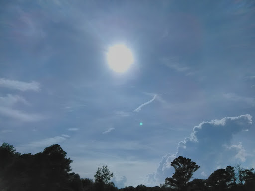 Discount Store «Dollar General», reviews and photos, 12861 GA-142, Oxford, GA 30054, USA