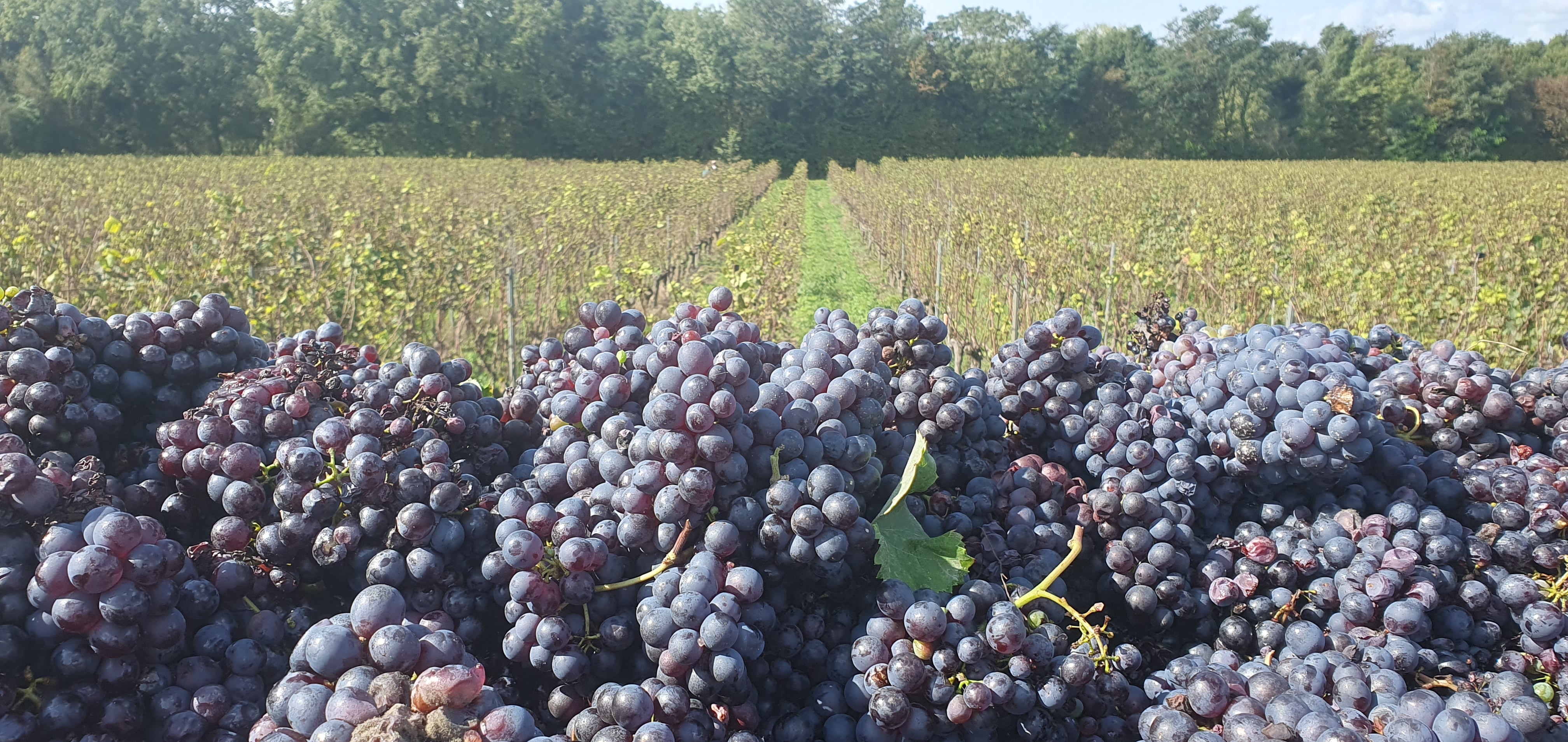 Photo n° 2 de l'avis de Philippe.a fait le 07/10/2023 à 15:17