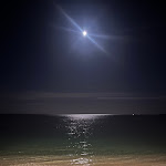 Photo n°3 de l'avis de Eva.E fait le 29/04/2024 à 19:39 sur le  Ristorante Don Carlo à Pula