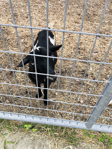 Social Services Organization «Lambs Farm», reviews and photos, 14245 W Rockland Rd, Libertyville, IL 60048, USA