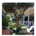 Photo n°2 de l'avis de Jaqueline.i fait le 27/08/2021 à 22:05 sur le  Hotel Villa Clementina à Scafati