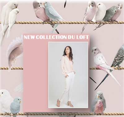 Un Loft Pour Elle by MIC à Montauban