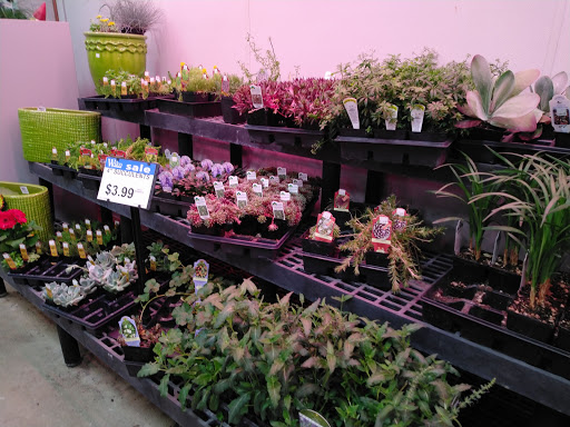 Home Improvement Store «Wilco Farm Store», reviews and photos, 1901A NE 162nd Ave, Vancouver, WA 98684, USA