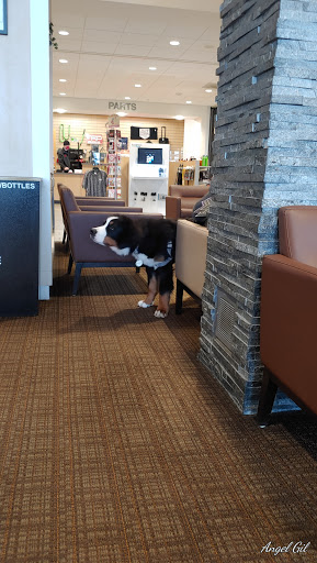 Car Dealer «Capitol Auto Group», reviews and photos, 783 Auto Group Ave NE #1, Salem, OR 97301, USA