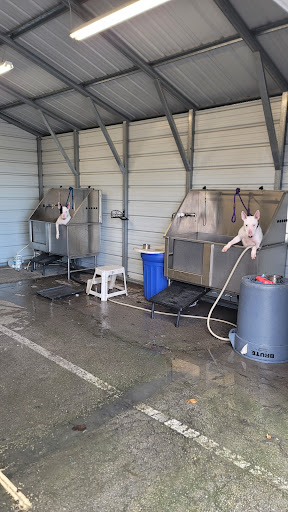 Convention Center «Roberts Centre», reviews and photos, 123 Gano Rd, Wilmington, OH 45177, USA