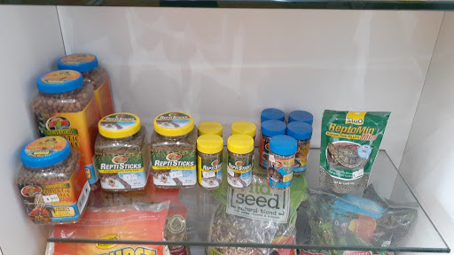 Pet Store «South Beach Pet Shop», reviews and photos, 634 6th St, Miami Beach, FL 33139, USA