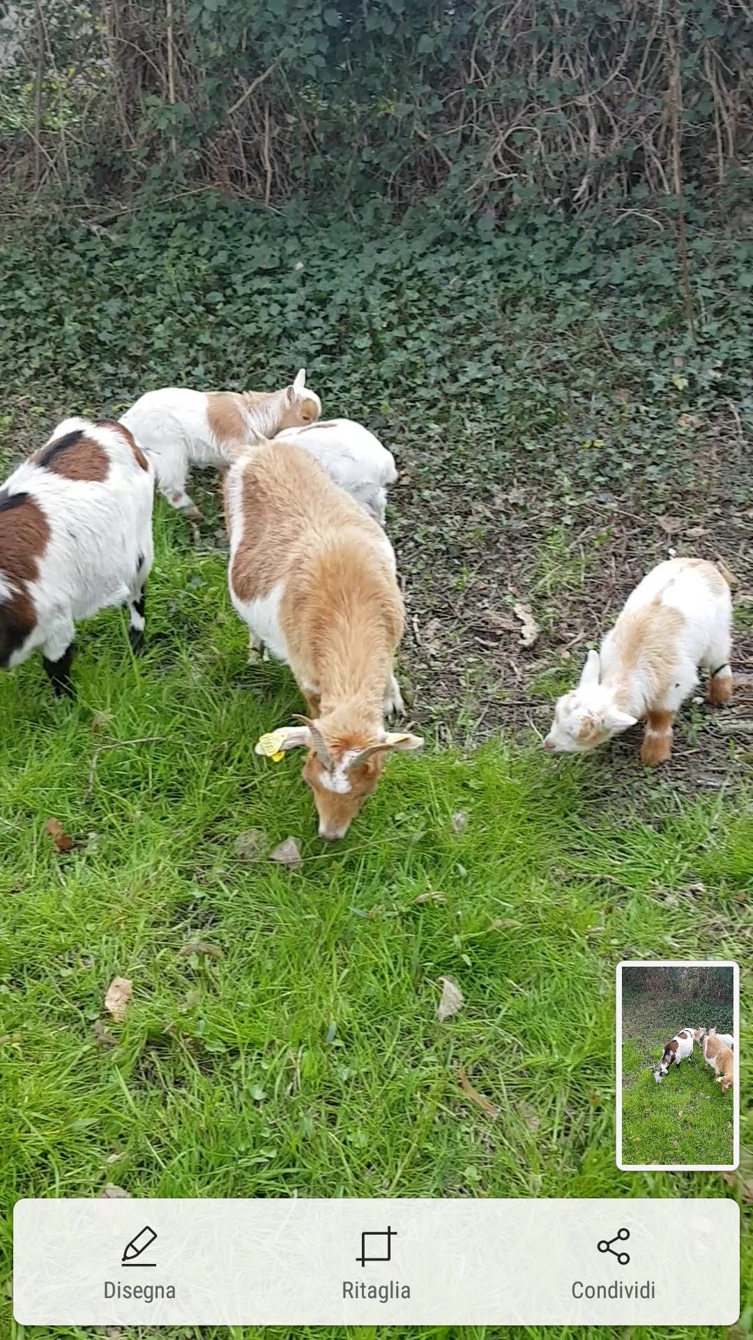 Photo n° 1 de l'avis de Elena.e fait le 18/04/2021 à 18:17