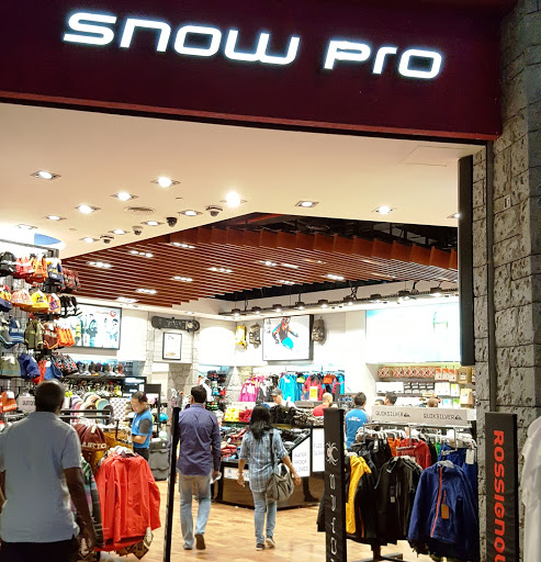 Snow Pro