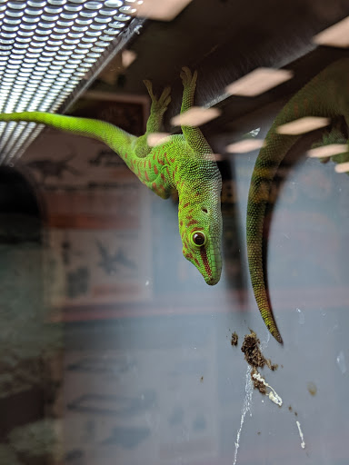 Pet Supply Store «Petco Animal Supplies», reviews and photos, 4345 U.S. 9, Freehold, NJ 07728, USA