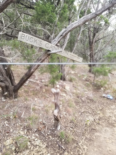 Tourist Attraction «Wimberley Zipline Adventures», reviews and photos, 300 Winn Valley Dr, Wimberley, TX 78676, USA