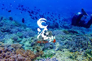 沖繩海潛 Umi Dive Okinawa image