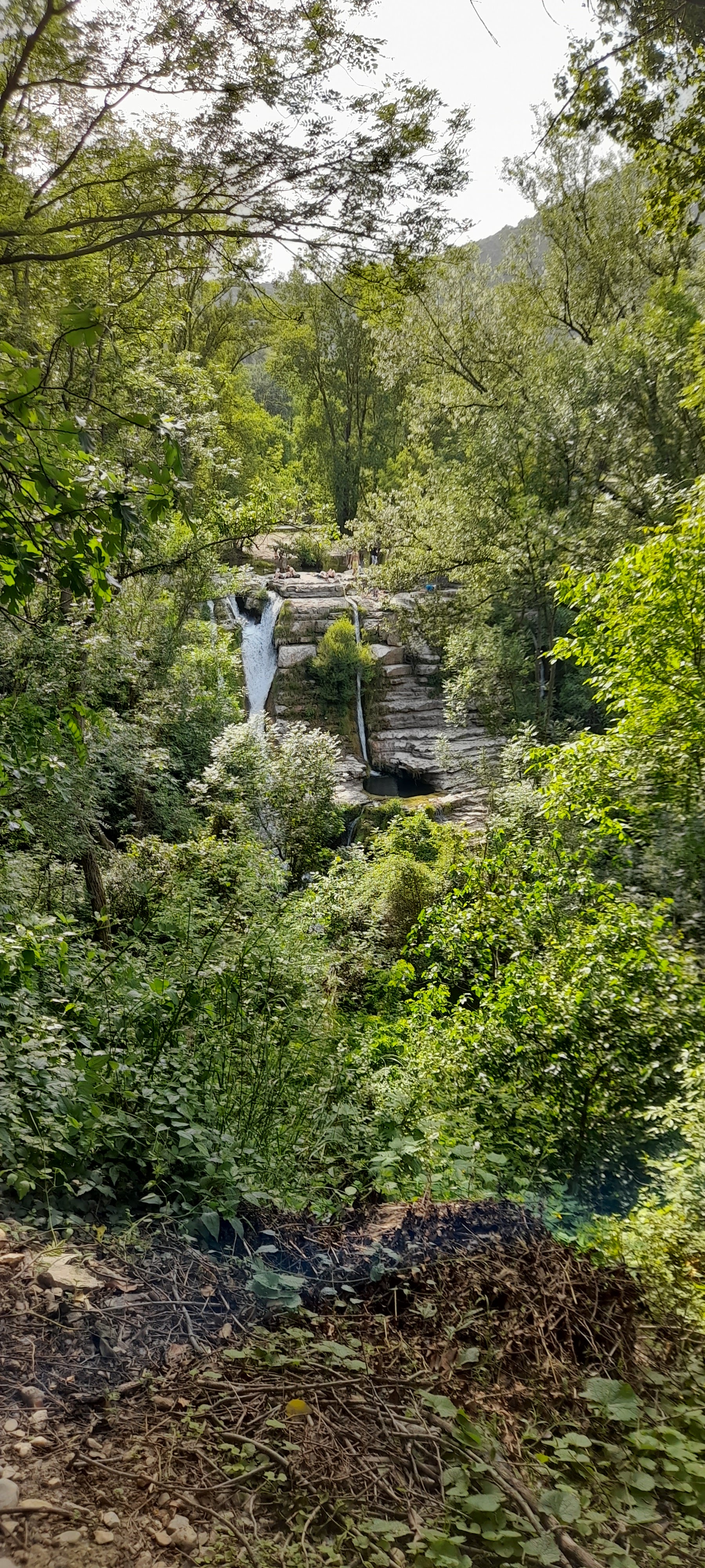 Photo n° 6 de l'avis de Véronique.s fait le 31/05/2023 à 09:57