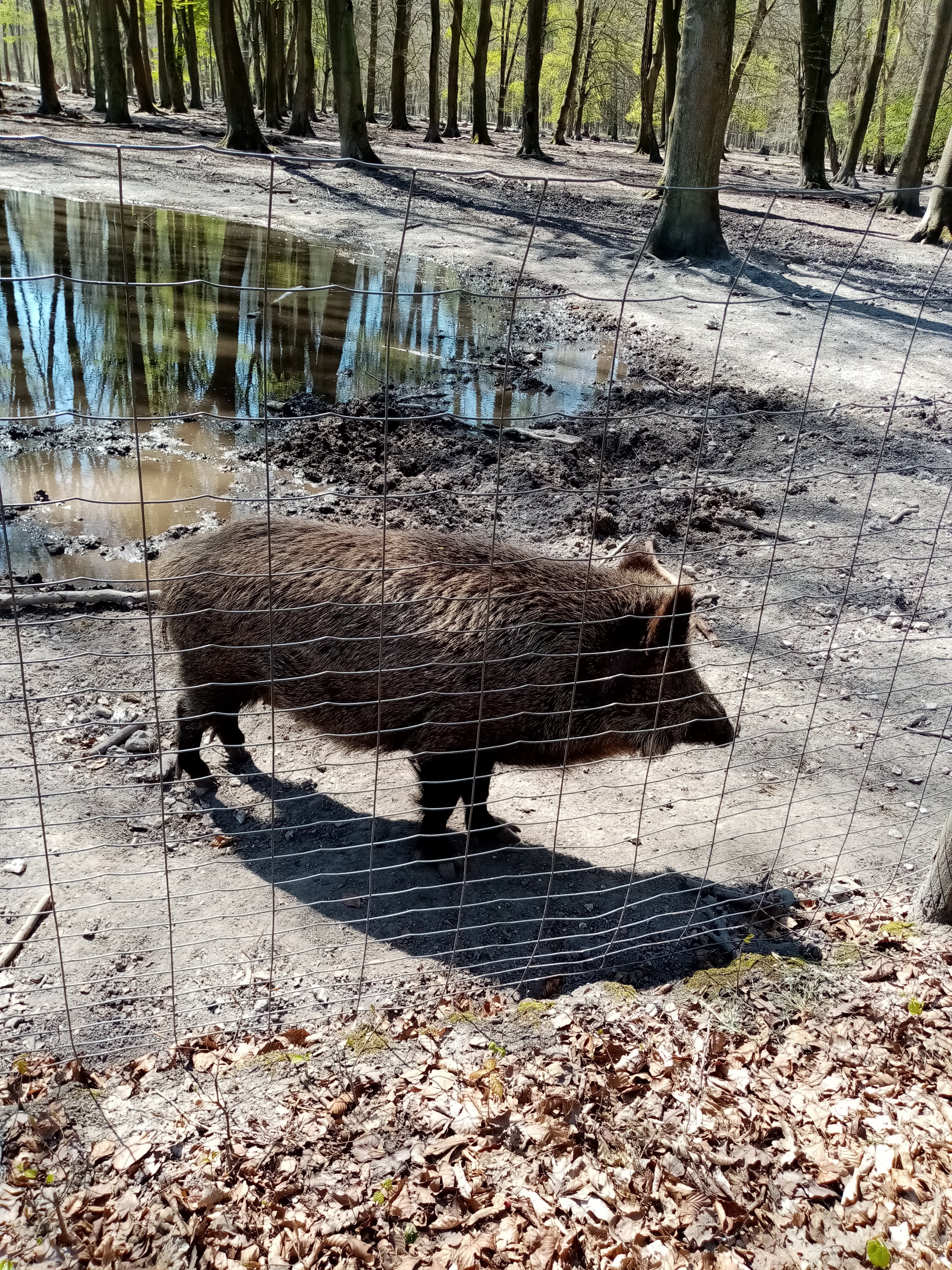 Photo n° 1 de l'avis de Marielaure.a fait le 28/04/2021 à 14:13