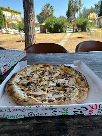 Pizza du Pizzeria Allo Pizza St-Tropez à Saint-Tropez - n°14