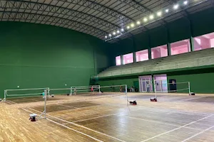 Center for sports science(CSS) mandya and district indoor stadium DYES image