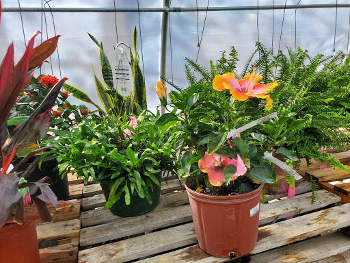 Garden Center «Beachside Gardens & Gifts», reviews and photos, 3725 US-12, Michigan City, IN 46360, USA