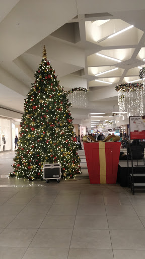 Department Store «JCPenney», reviews and photos, 500 Briarwood Cir, Ann Arbor, MI 48108, USA