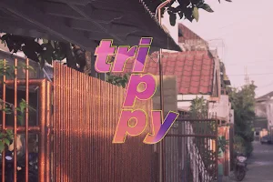 Trippy Coffee Roastery / Coffee Slow-bar image