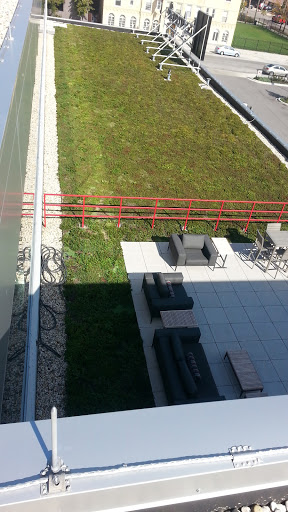 Roofing Contractor «All American Exterior Solutions», reviews and photos, 150 Oakwood Rd, Lake Zurich, IL 60047, USA